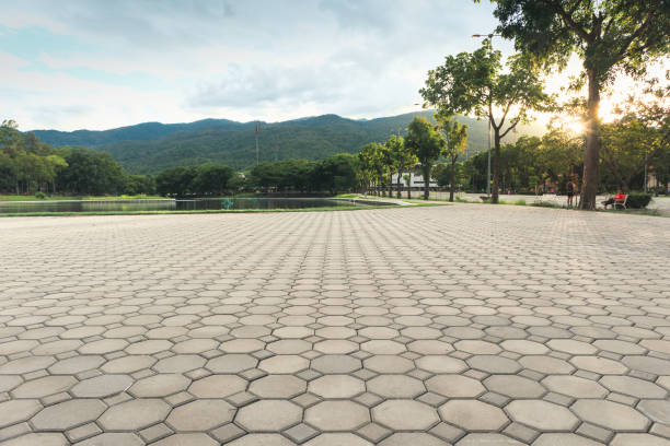 Best Local Driveway Pavers  in Cedar Bluff, VA