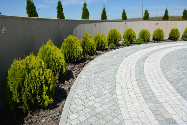 Best Concrete Paver Driveway  in Cedar Bluff, VA
